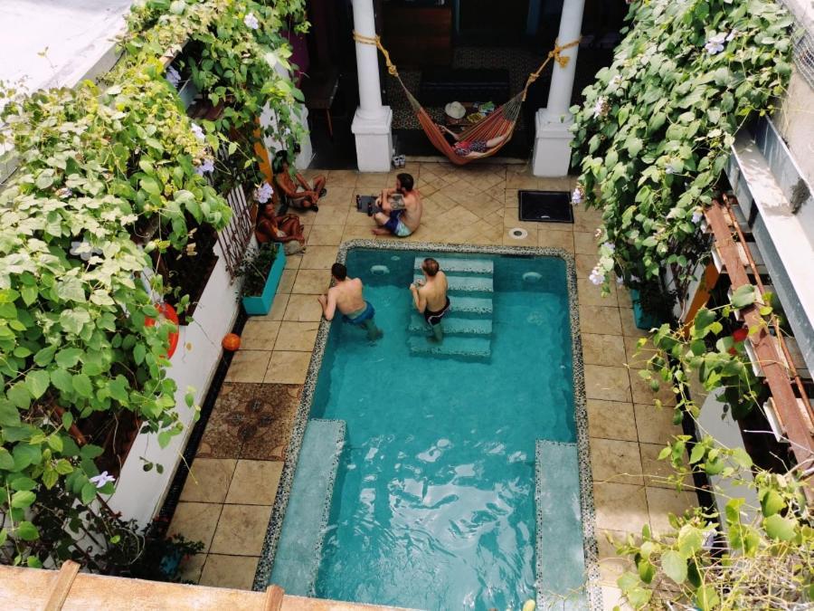 Baboon Hostel - Santa Marta (Magdalena)