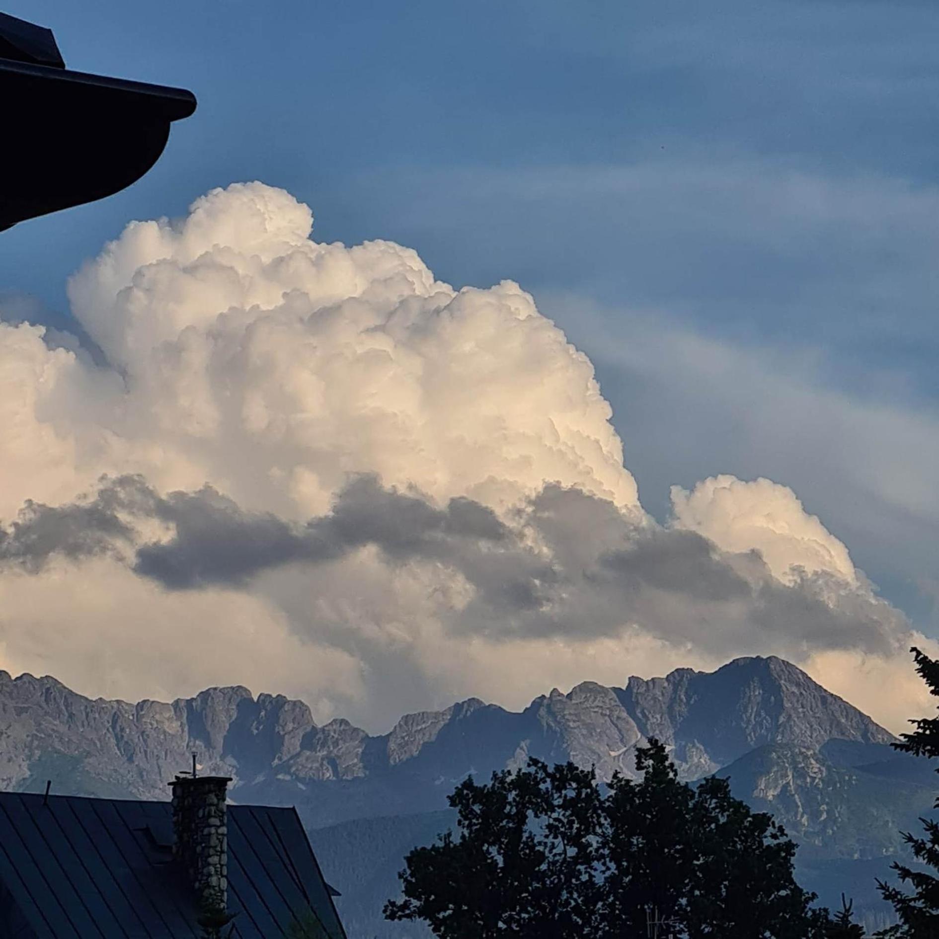 D.W Teresa Villa - Zakopane