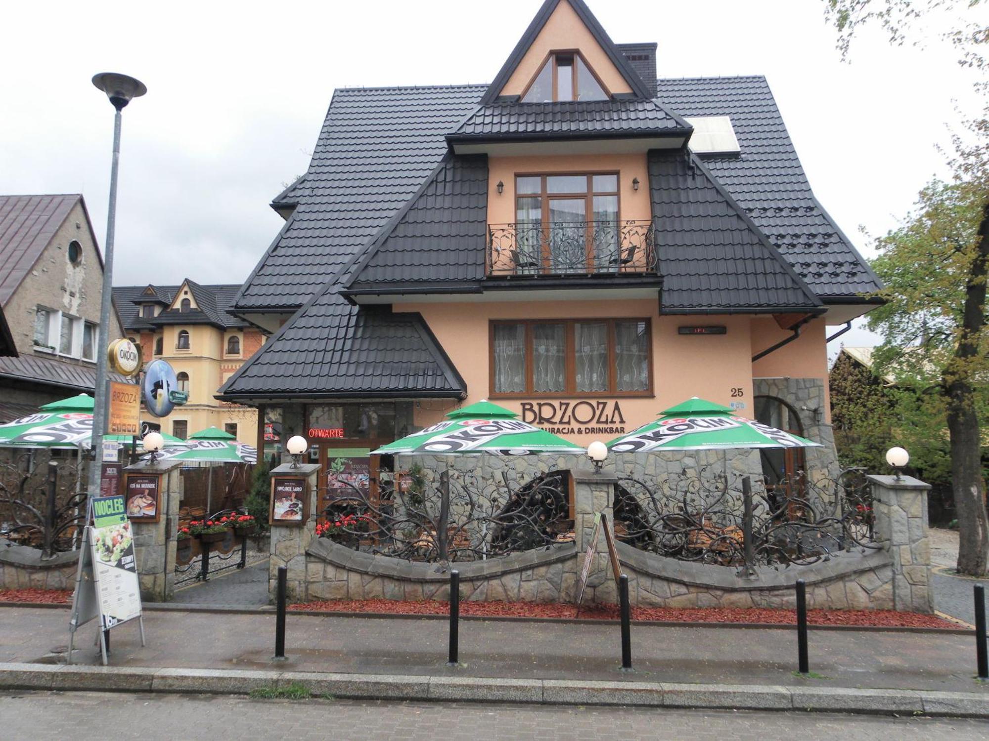 Brzoza W Centrum Zakopanego
