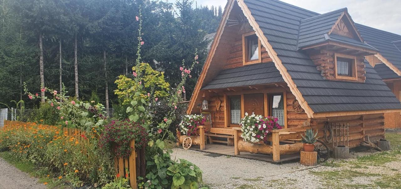 Domki Harenda - Zakopane