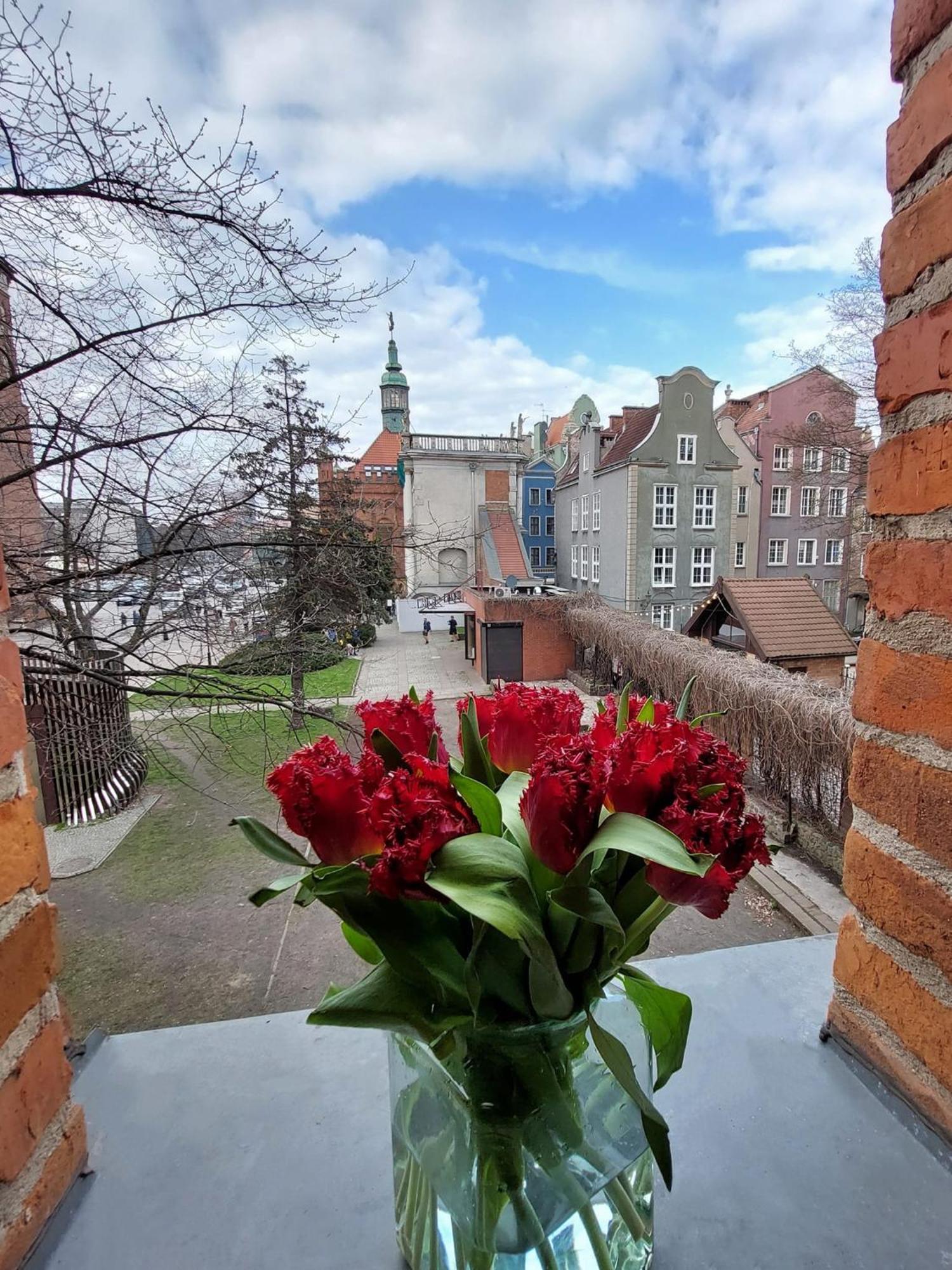 Hostel Universus - Gdansk
