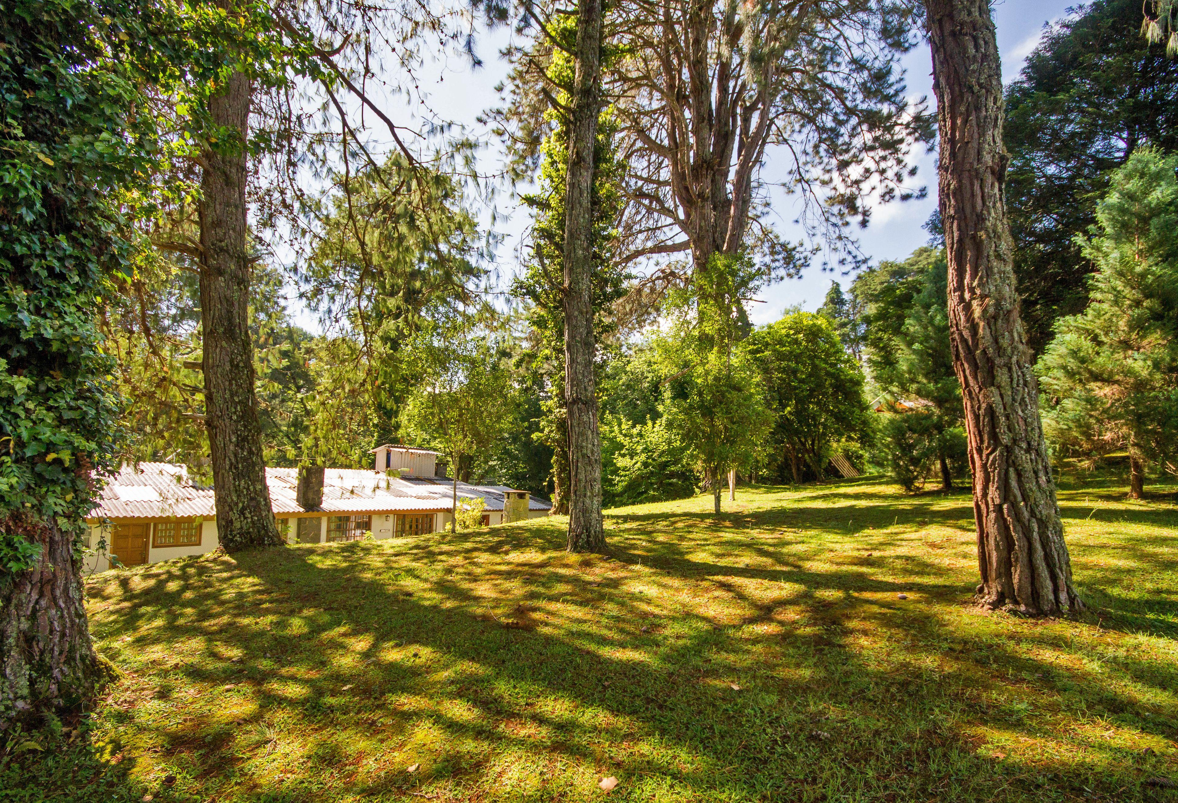 Villa Vintage Campos - Piscina E Opcoes De Suites Com Hidromassagem